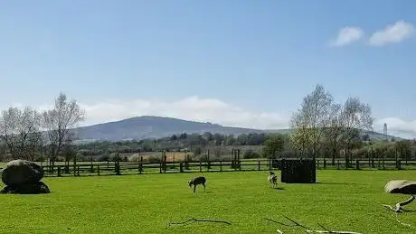 Fox's park