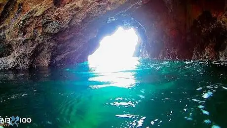 Photo de Odisseia Viva Lda