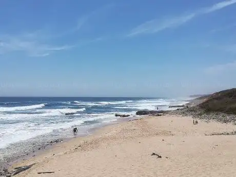 Photo de Praia do Queimado