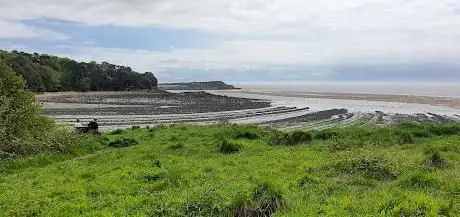 Photo de Lavernock Stony Beach