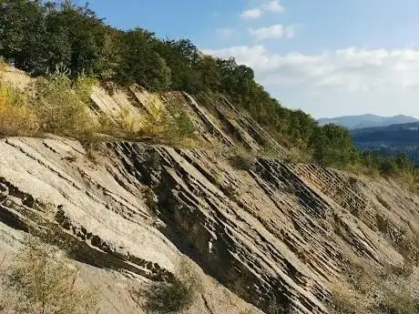 Photo of Schümel Naturschutzstiftung