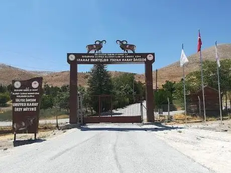 Photo de Bozdağ Anadolu Yaban Koyunu Üretme İstasyonu