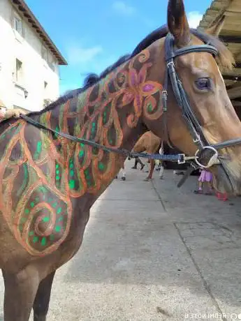 Photo de Centro Ecuestre Domastur