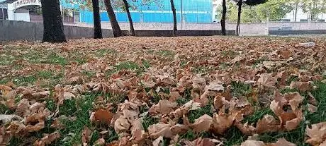 Photo de Çocuk Park