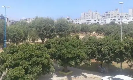 Photo de Parc Cité Plateau