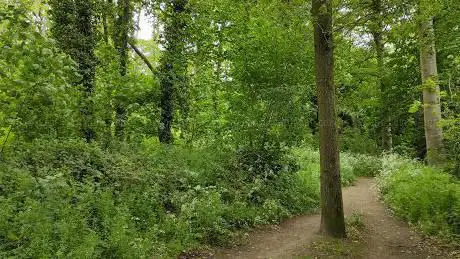 The Whyte Estate