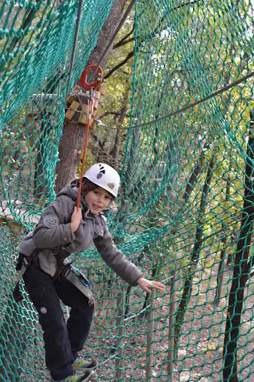 Photo de Joncas Aventure