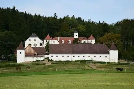 Photo de Schloss Dornhofen