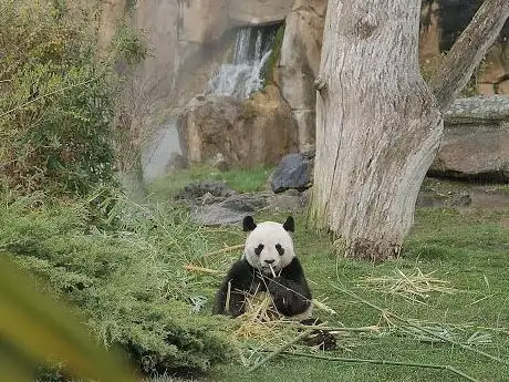 Photo of Sur les Hauteurs de Chine