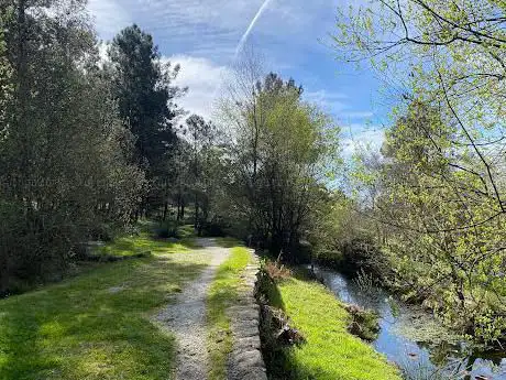 Photo de Parque Forestal do Monte Pedroso