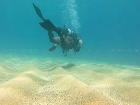 Photo of IntoTheBlue Diving Centre