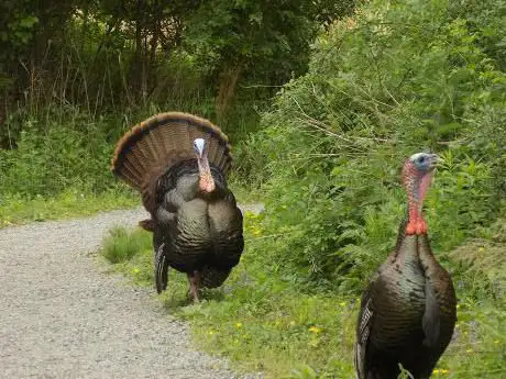 Photo de Mass Audubon's Boston Nature Center and Wildlife Sanctuary