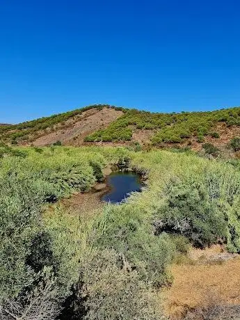 Photo de Mata Nacional das Terras da Ordem