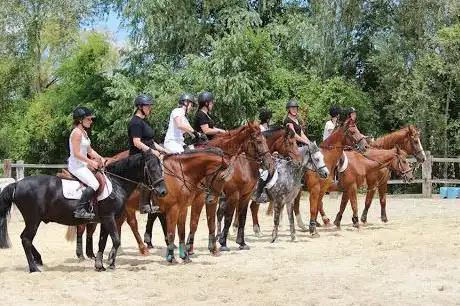 Photo de ECURIE SOPHIE MARCHAND