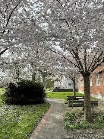 Photo de Sankt Larsparken
