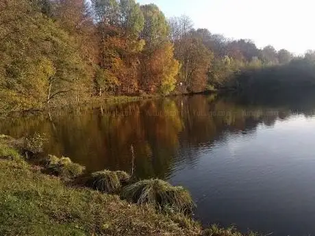 Photo de Königsteich