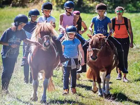 Photo de Centre Equestre de Gironville sur Essonne