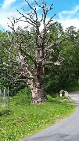 Photo of Sigurd inscription runic carvings