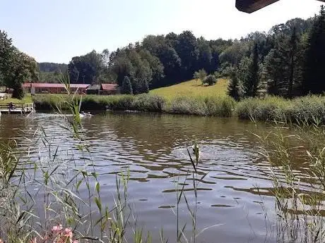 Photo de Natur Schwimmteich Innermanzing