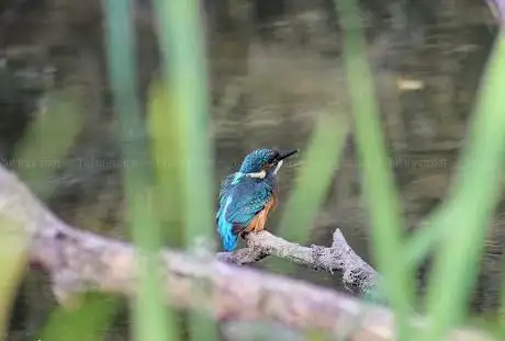 Photo de Eijsder Beemden