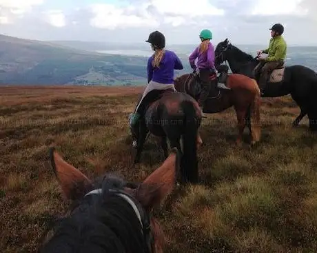 Photo de Hollywood Horse And Pony Trekking