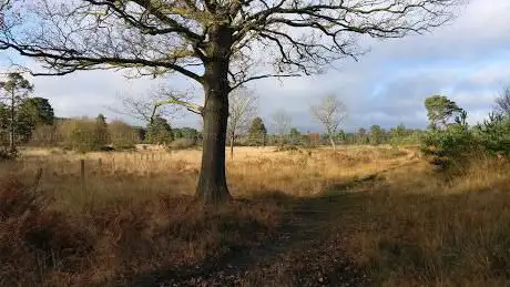 Photo de Barossa nature reserve
