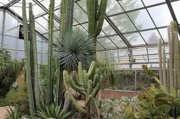 Photo de Botanischer Garten Chemnitz