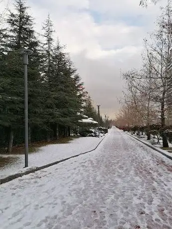 Photo de Doğukent Running And Walking Park