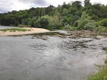 Photo de Réserve du Val d'Allier