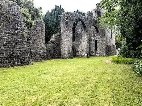 Château de Maynooth