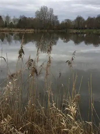 Photo de Etang des Nonettes