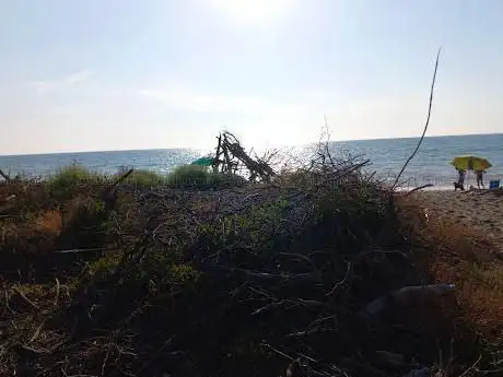 Photo de Riserva naturale tomboli di Cecina INGRESSO CASERMETTE