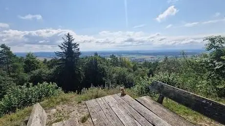 Photo de Hohe Metze (510 m. ü NN)