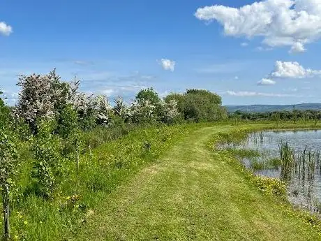 Photo de Killeedy Eco Park