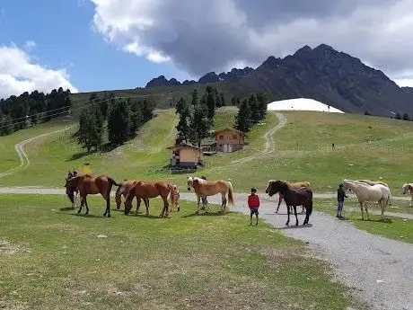 Photo de Mannis Ranch Einstellplätze