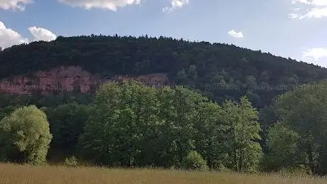 Photo de Vogelschutzgebiet beim Tremhof