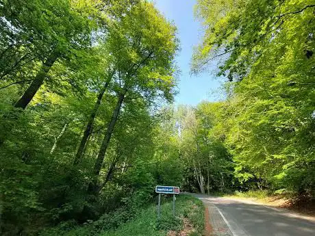Photo de Bois du Pottelberg (Bois de La Houppe)