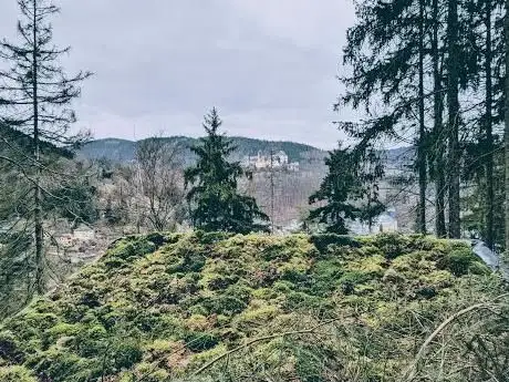 Photo de Leutenberger Urwaldpfad