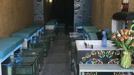 Photo de Fish Spa « C’est le pied »