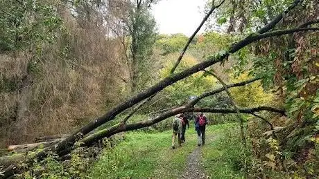 Photo de Bauernhofweg