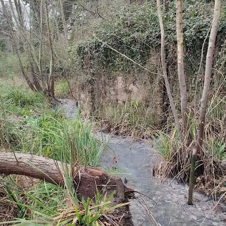 Photo de Source sulfureuse
