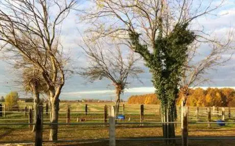 Photo de Softouch Ranch