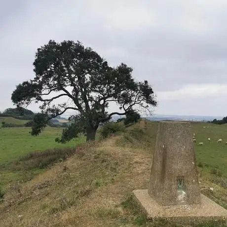 Photo de Burrough Hill - Iron Age Hillfort