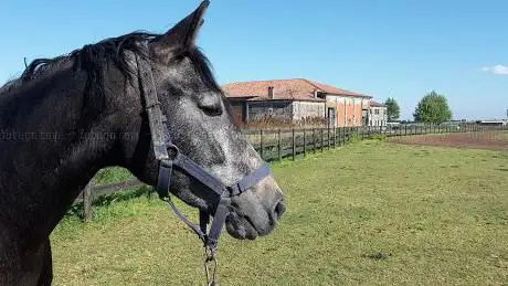 Photo de POLO CLUB La Fiorina