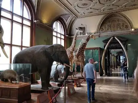 Photo of Muséum de Vienne