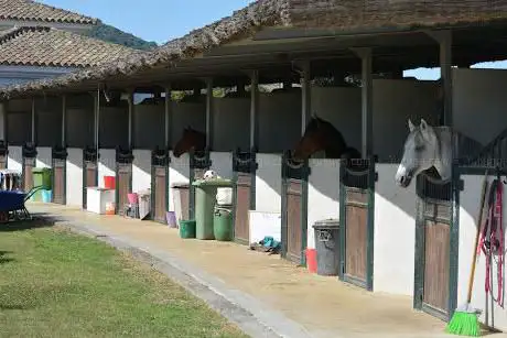 Photo de SCHOOL OF DRESSAGE SOTOGRANDE