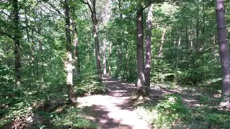 Photo de Arboretum de Profondeville