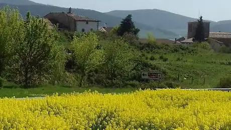 Photo de Museo De TABAR