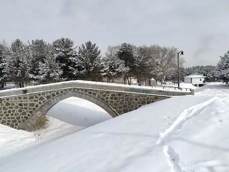 Photo of Atatürk Üniversitesi Çimenler