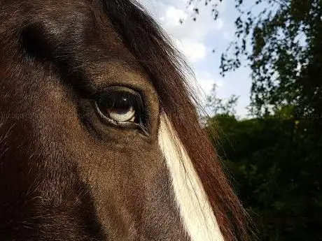 Photo de Cascina Viola